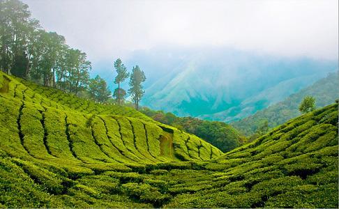 Munnar Dreams Hotel ภายนอก รูปภาพ