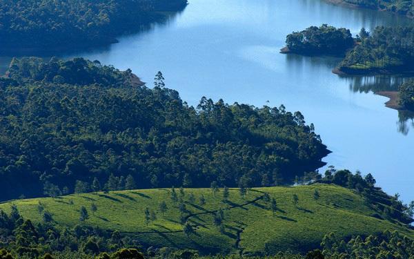 Munnar Dreams Hotel ภายนอก รูปภาพ